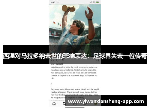 西涅对马拉多纳去世的悲痛表达：足球界失去一位传奇