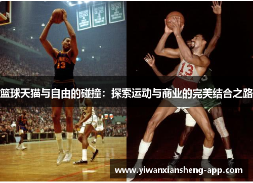 篮球天猫与自由的碰撞：探索运动与商业的完美结合之路